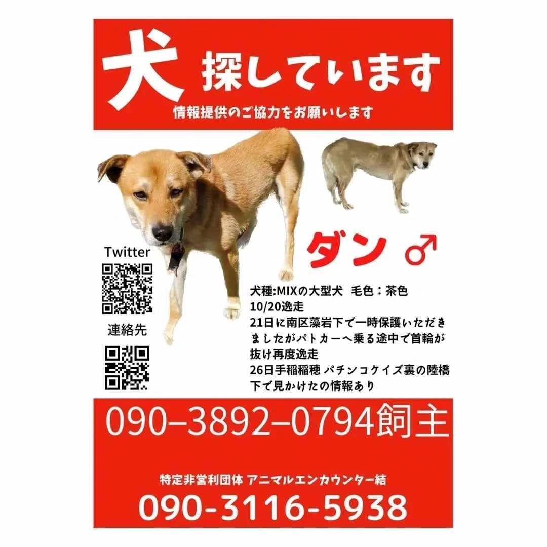 ダン